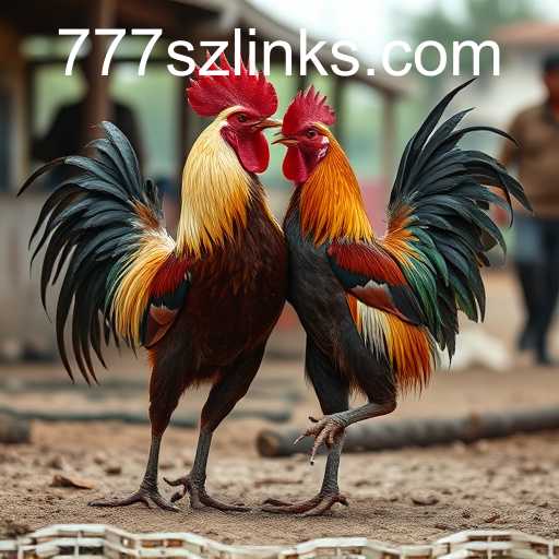 Cockfighting
